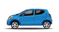 2010 Suzuki Alto vehicle